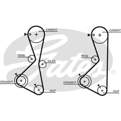 GATES   5373XS 123 x 29 (8597-15373)